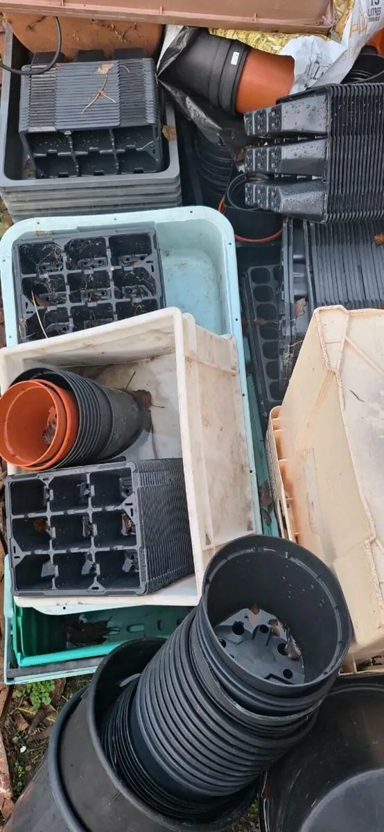 Flower pots - Image 4