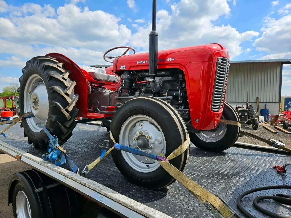 Mf 35 MINT - Image 2