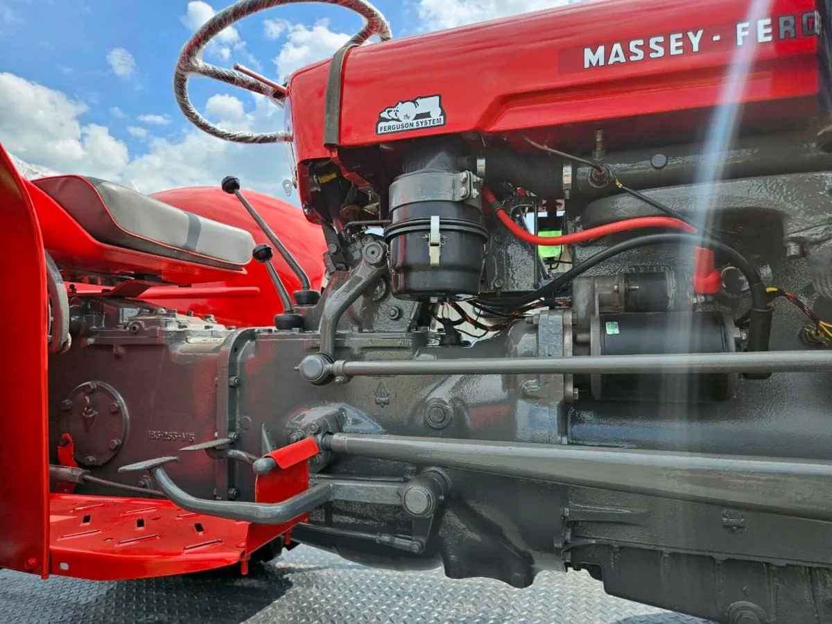 Mf 35 MINT - Image 4