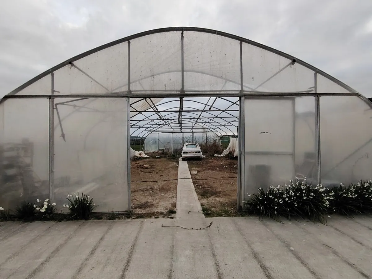 Polytunnel - Image 1