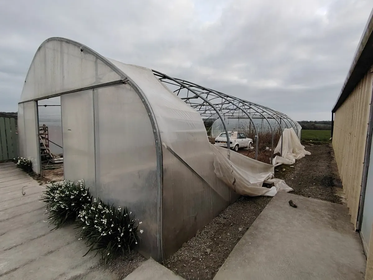 Polytunnel - Image 2
