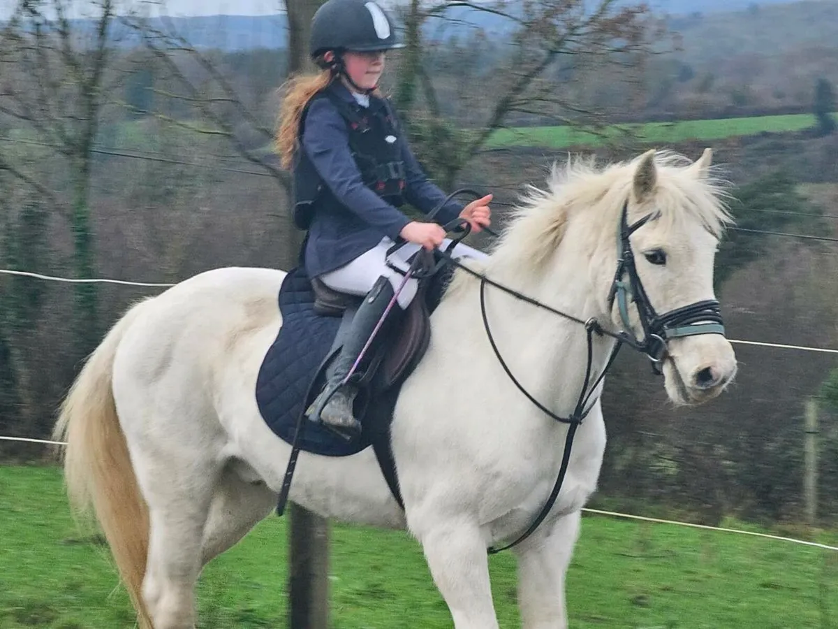 Connemara X - Image 1