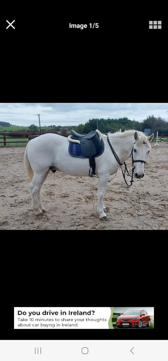 Connemara X - Image 2