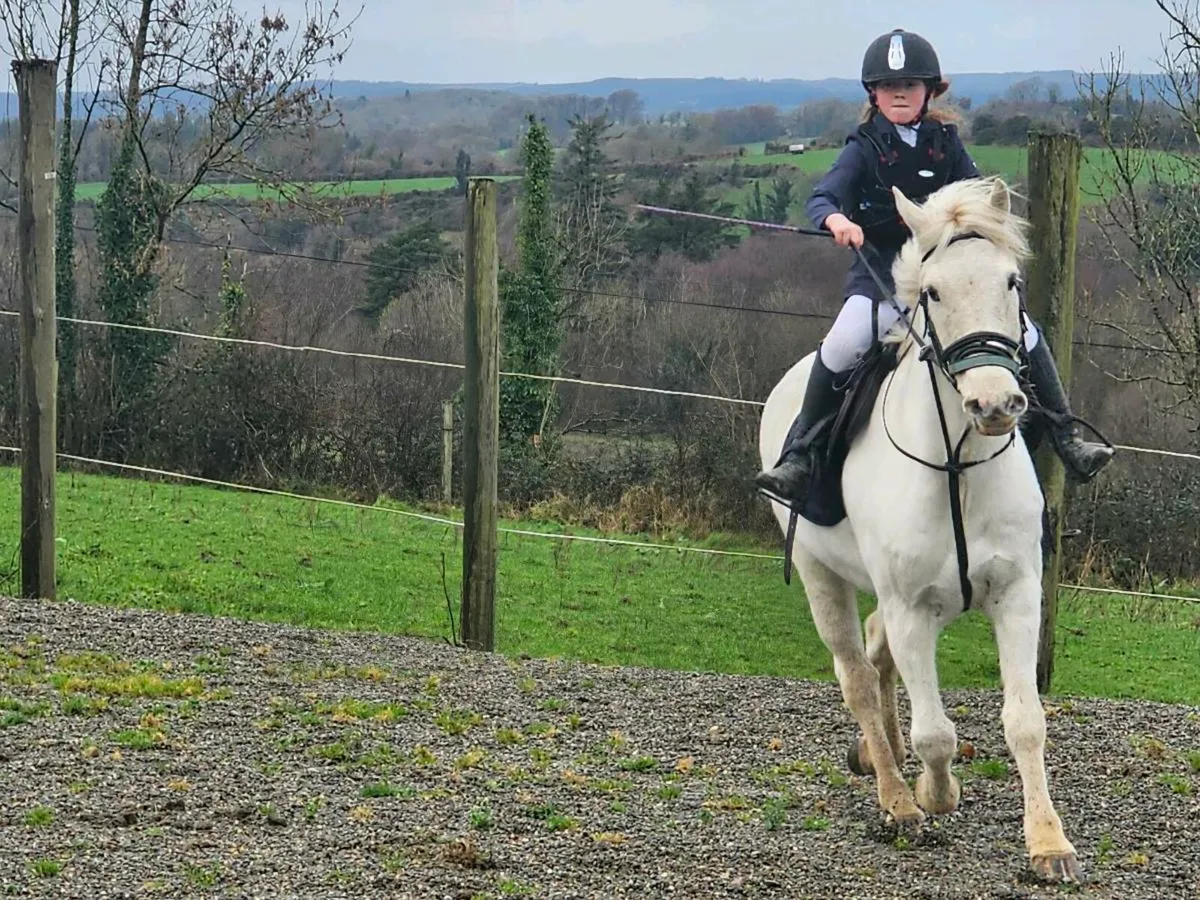 Connemara X - Image 3