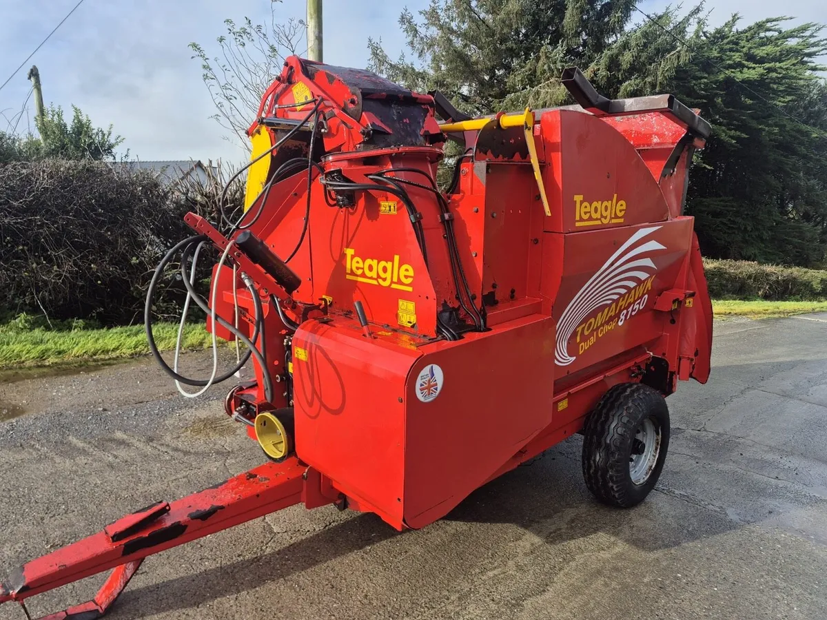 Teagle Tomahawk Dual Chop 8150 - Image 2