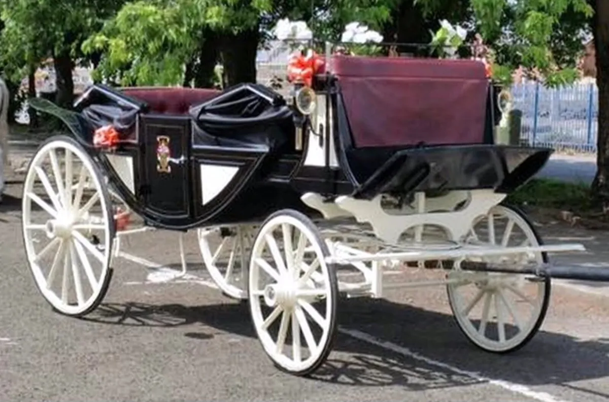 LANDAU CARRIAGE - Image 1