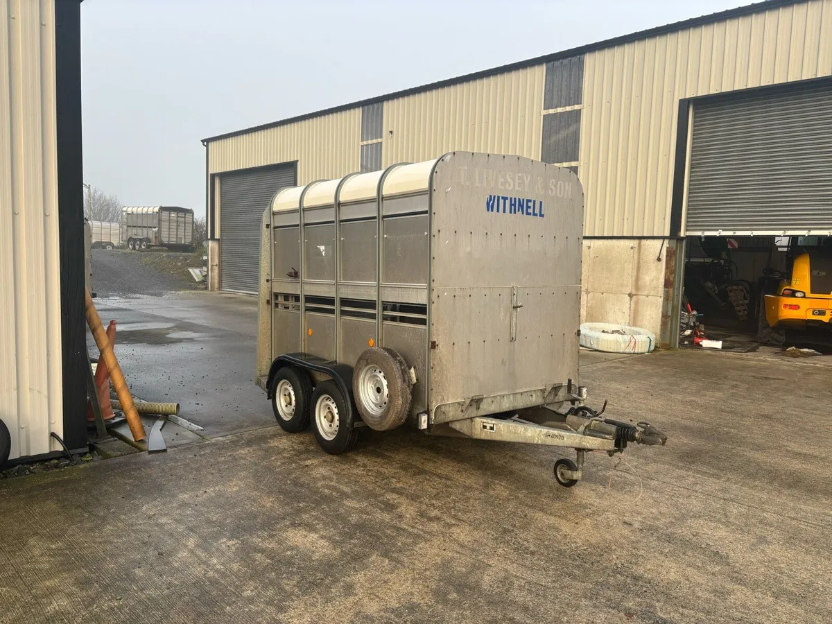 Ifor Williams 8x5 & 12x5 Livestock Trailers - Image 1