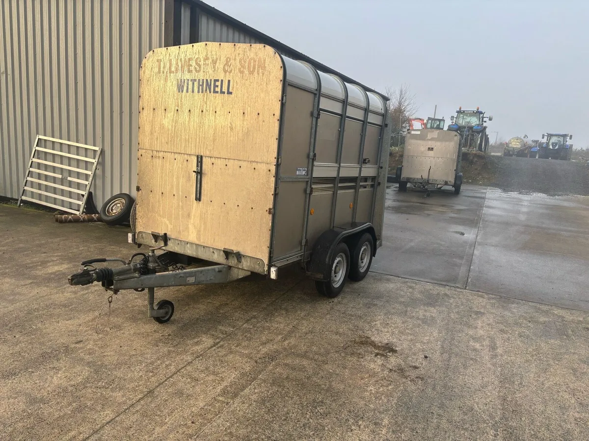 Ifor Williams 8x5 & 12x5 Livestock Trailers - Image 2