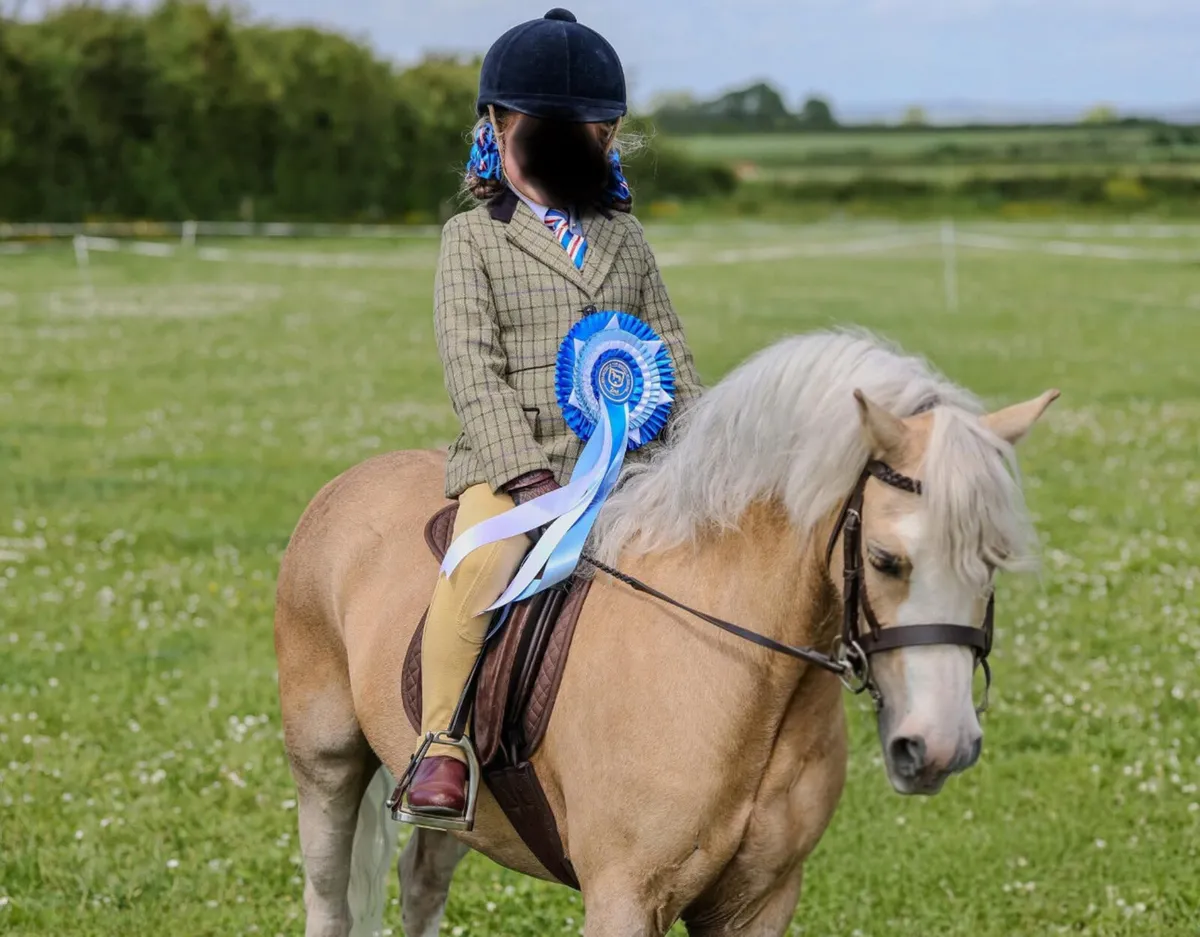 Competitive lead rein pony - Image 2