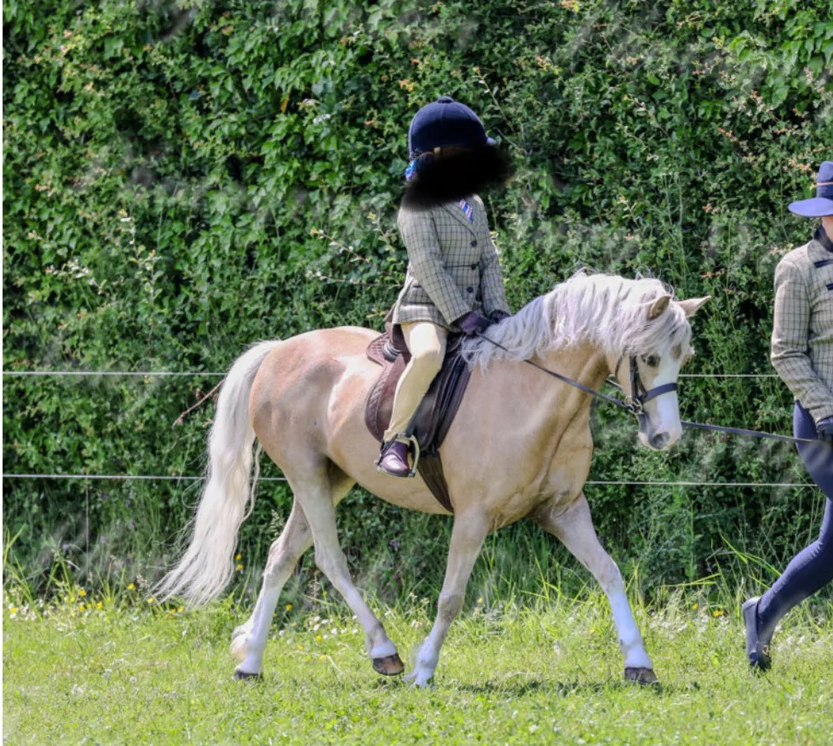 Competitive lead rein pony - Image 3
