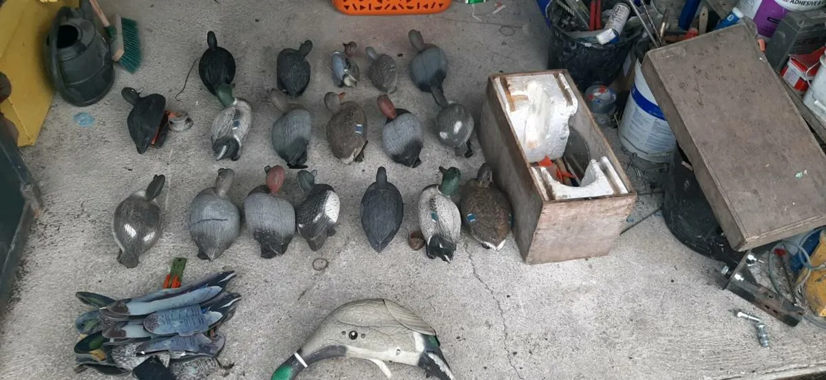 Duck Hunting Shooting Decoys - Image 2