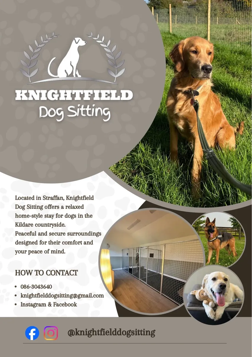 Knightfield Dog Sitting - Image 1