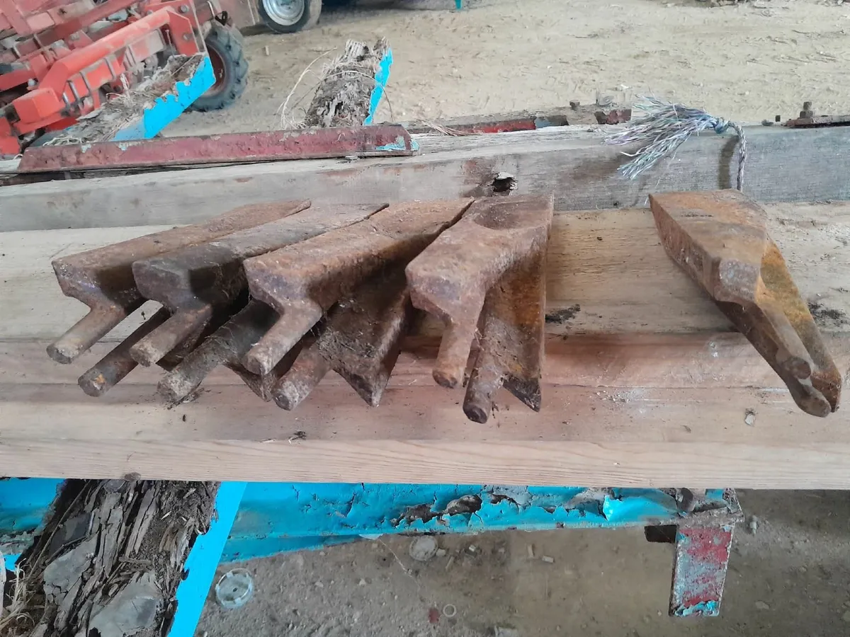 Drill plough - Image 4