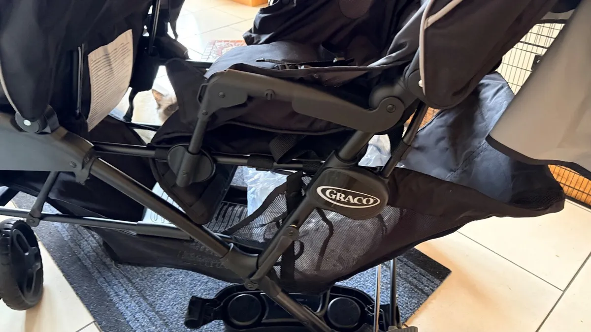 Double buggy - Image 2
