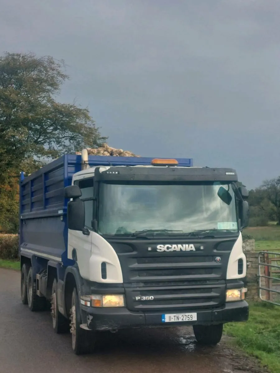 FODDER BEET - Image 4