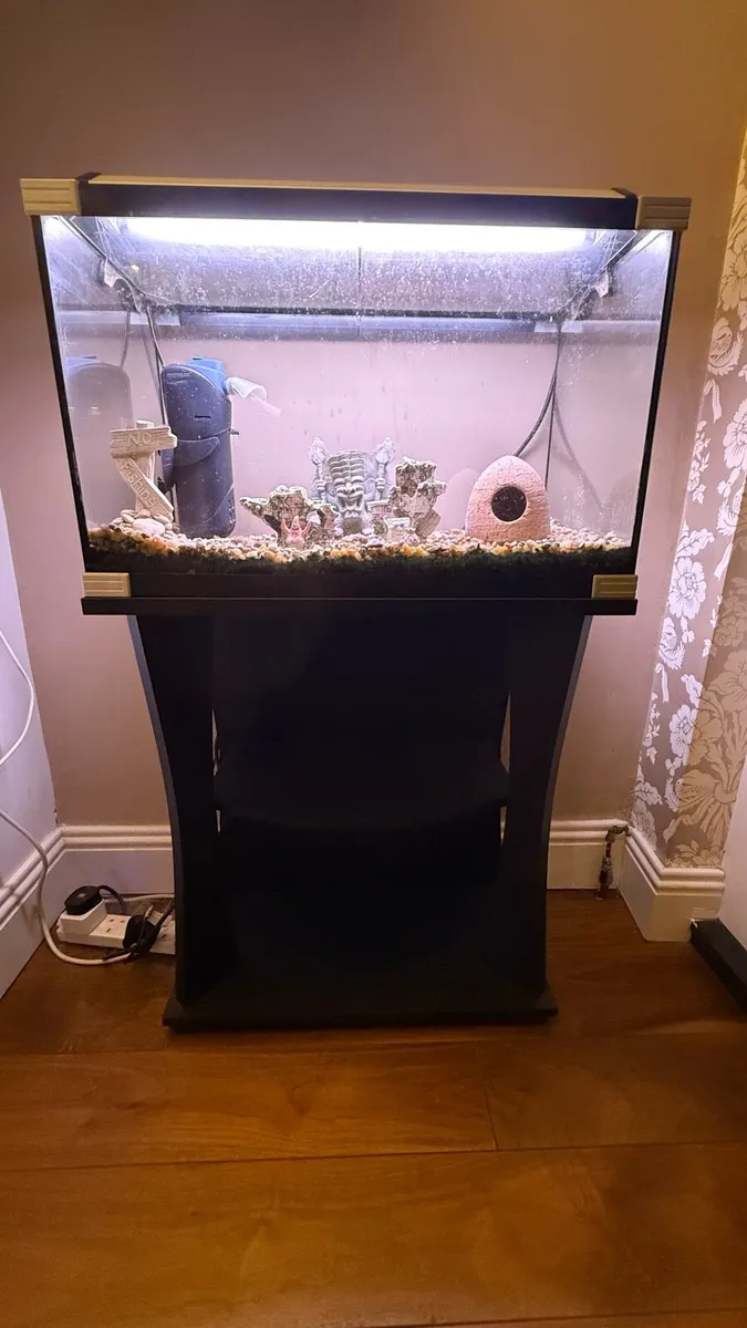 Fish Tank with Accessories and Shelf Unit - Image 2