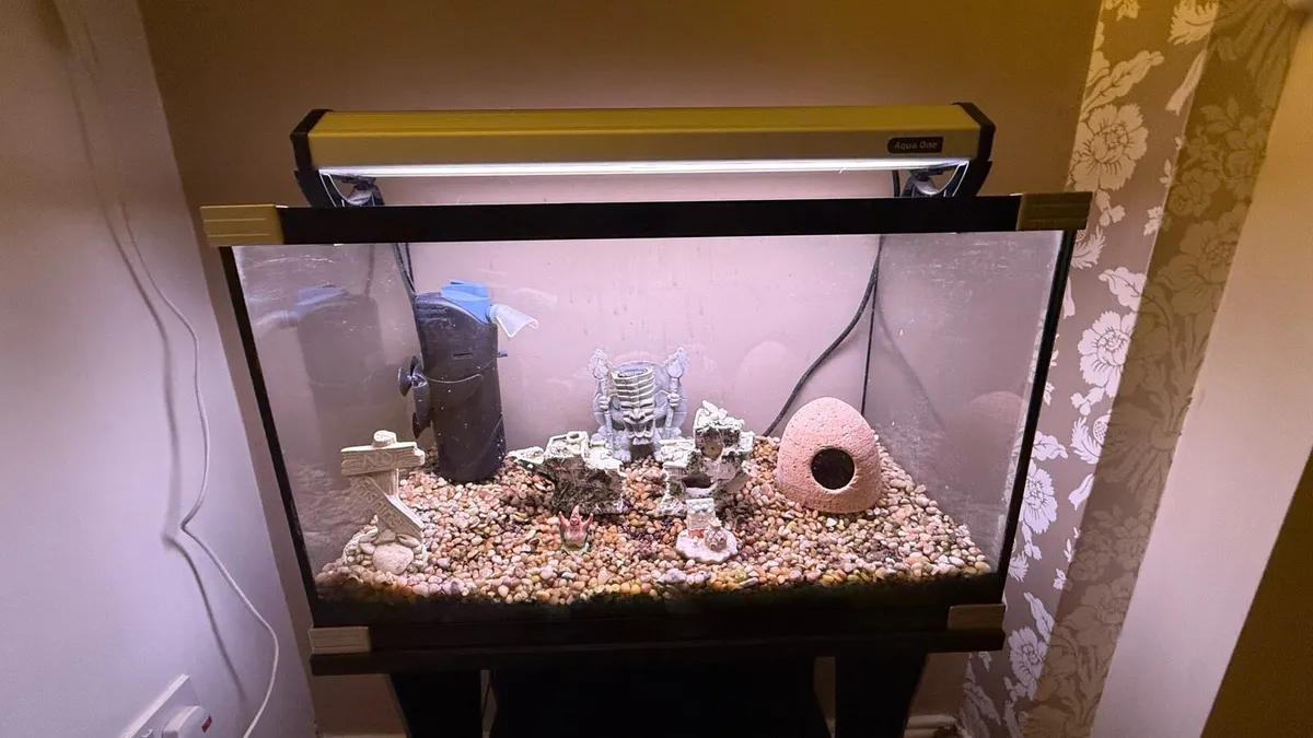 Fish Tank with Accessories and Shelf Unit - Image 1