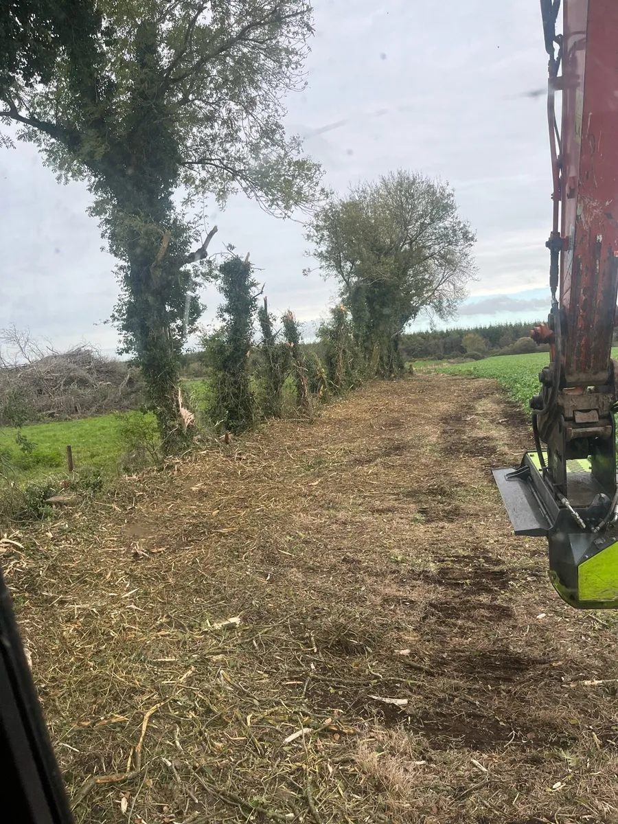 Tree shears for hire & mulching - Image 3