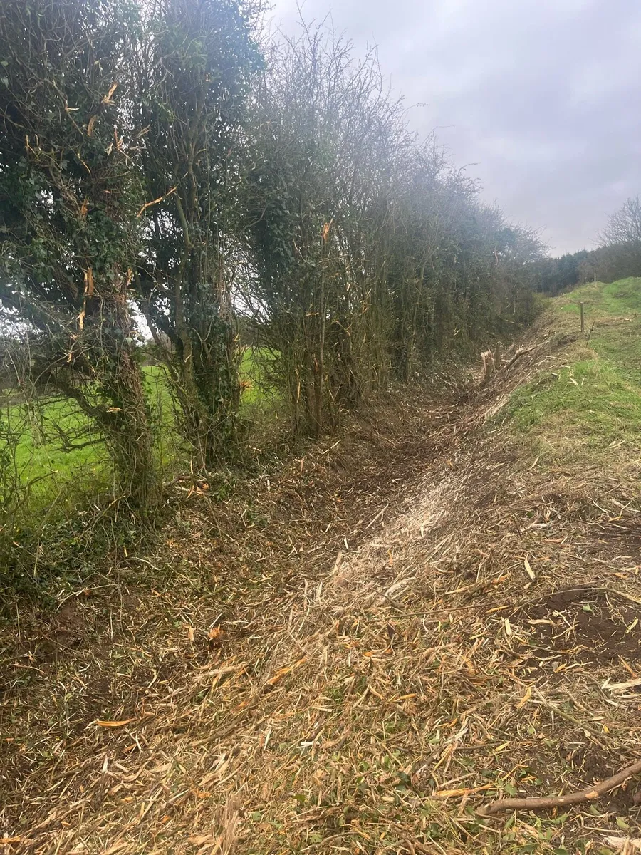 Tree shears for hire & mulching - Image 4