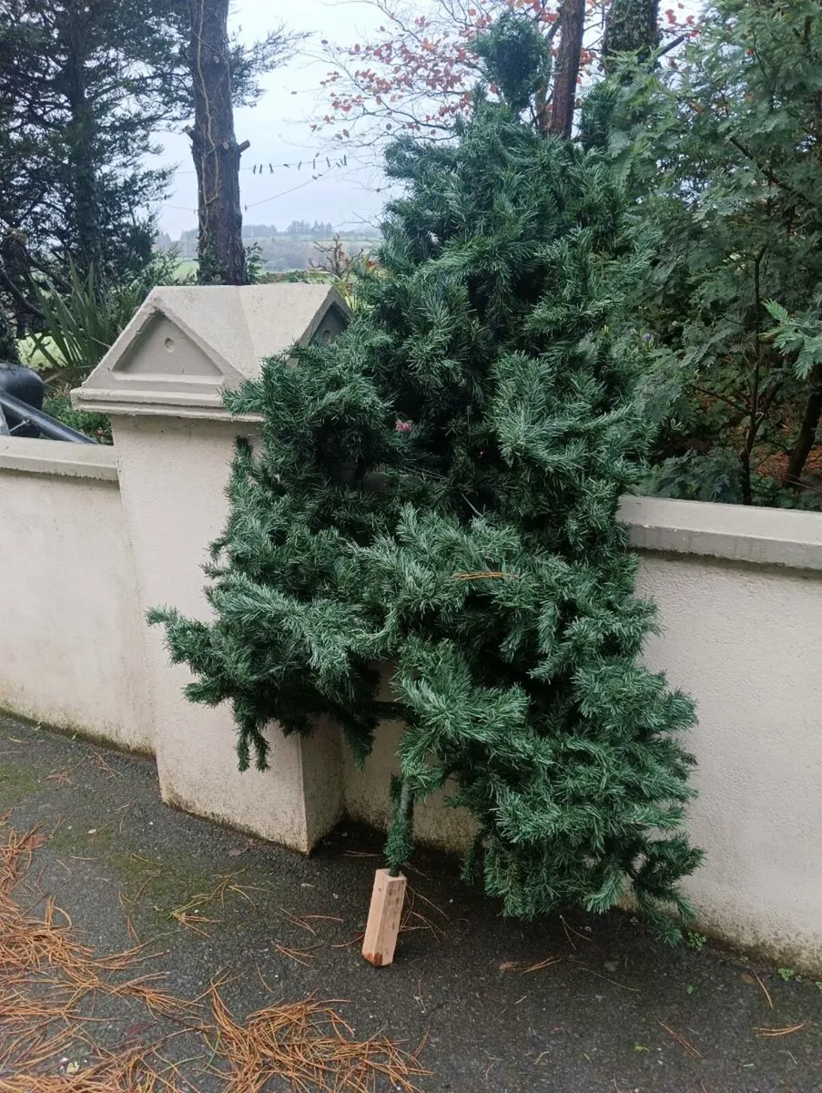 6ft Christmas tree as is no stand perfect otherwis - Image 2