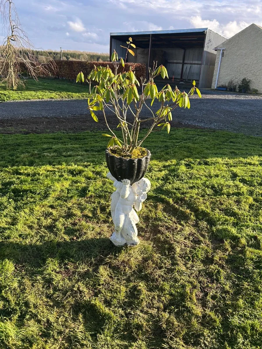 Garden Ornaments - Image 1