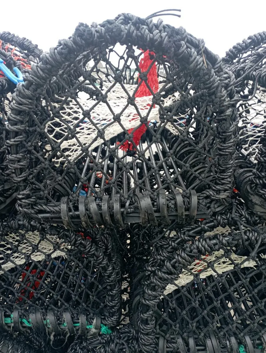 Lobster Pots - Image 2