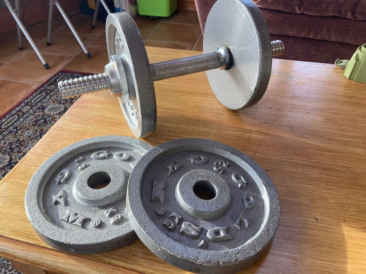 Gold’s Dumbbell - Image 1