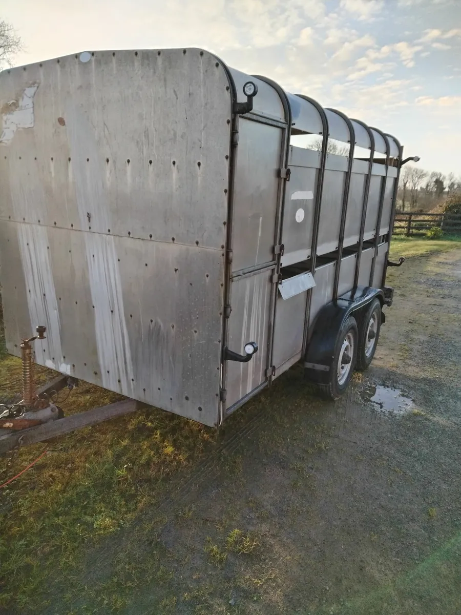 Live stock Ifor Williams Trailer - Image 1