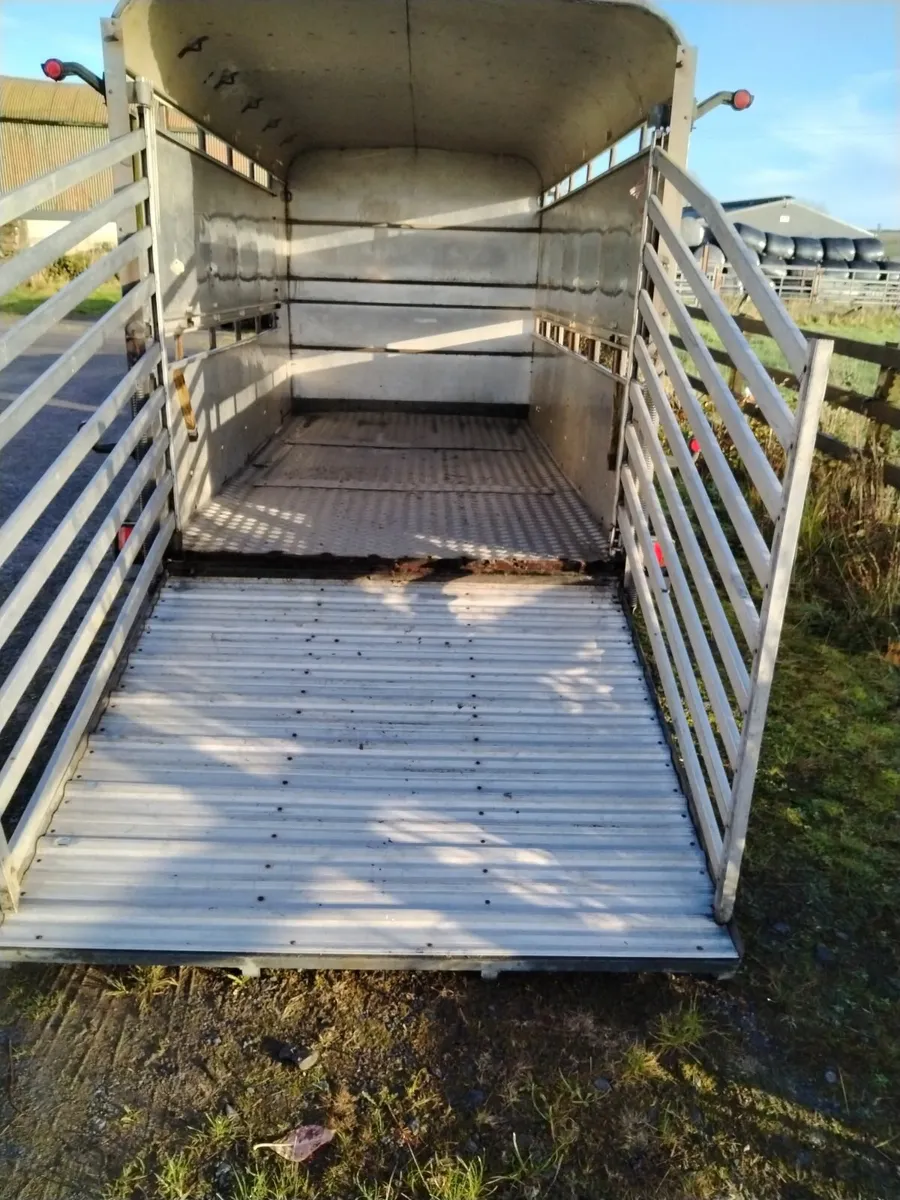 Live stock Ifor Williams Trailer - Image 2