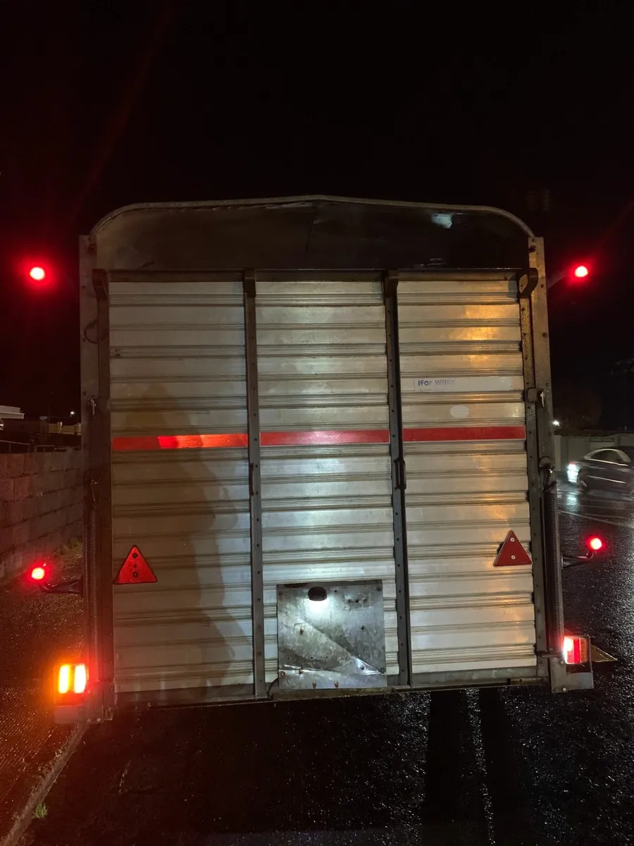 Live stock Ifor Williams Trailer - Image 4