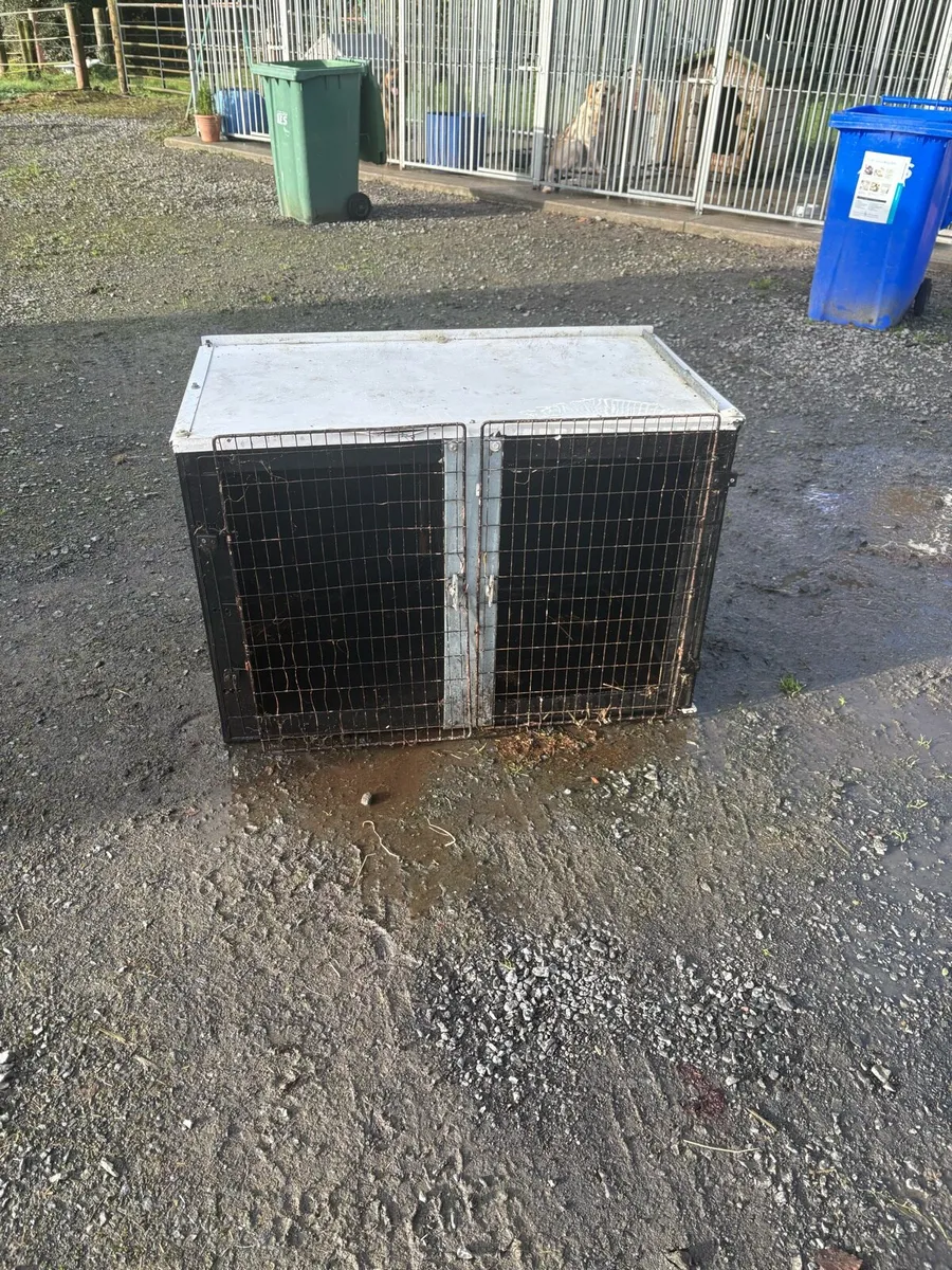 Double Dog transport box - Image 4
