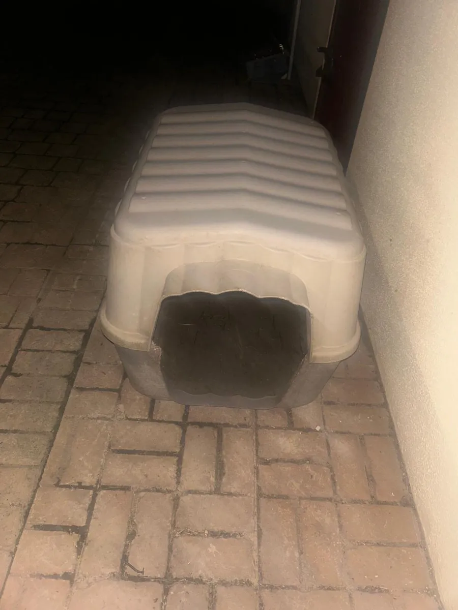 Dog Kennel