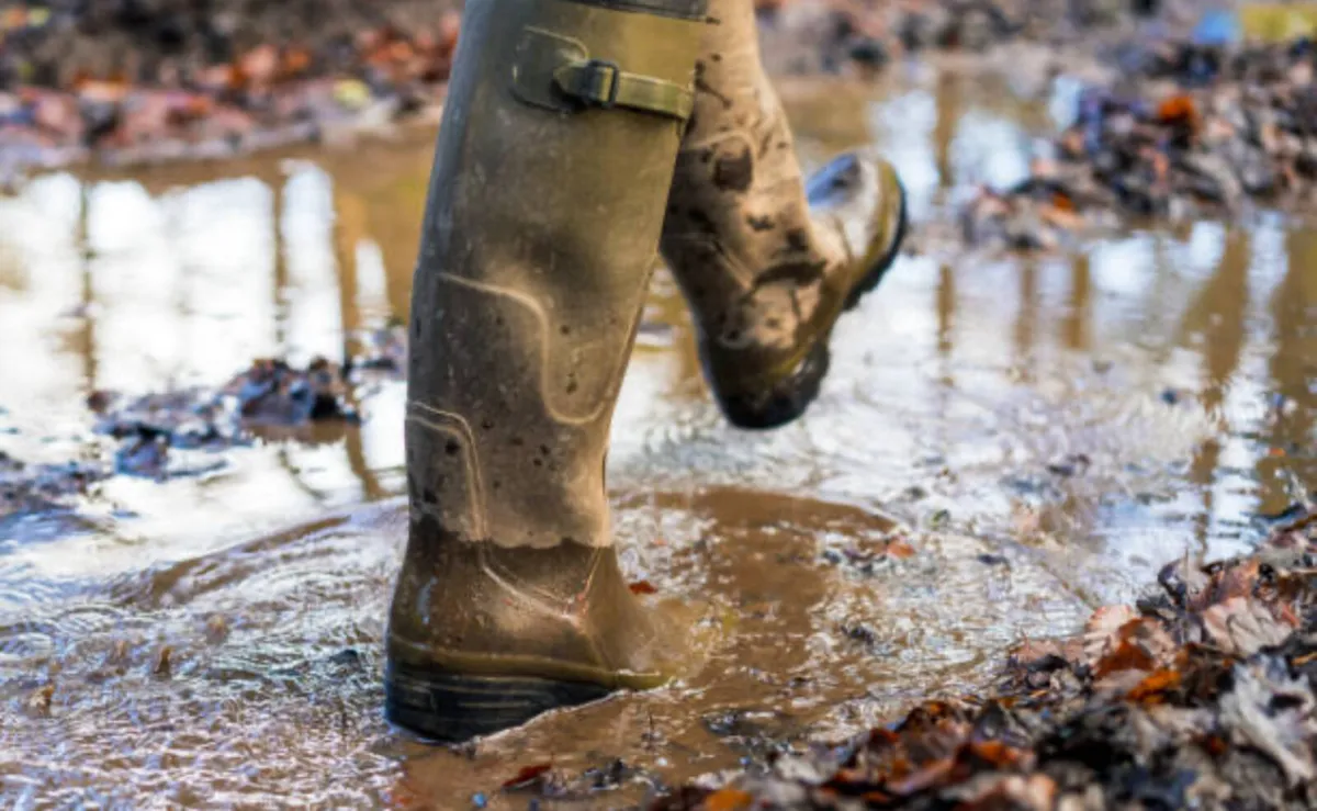 Shop online !! Clothing - Footwear- Lighting!!! - Image 4