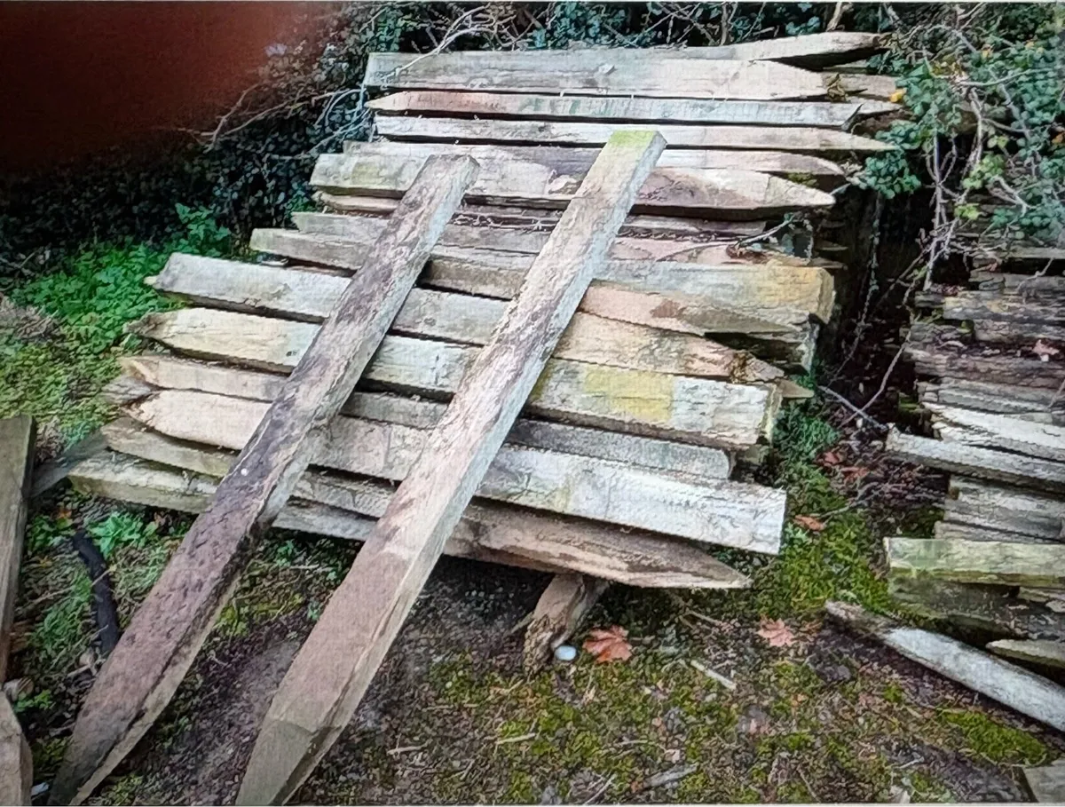 Heavy Duty Gates (15 foot) & Wooden Posts - Image 2