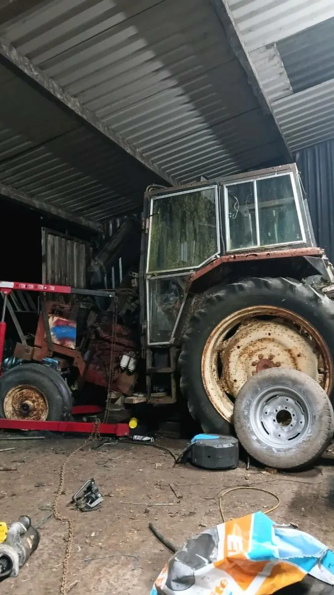 International 884 - Image 1