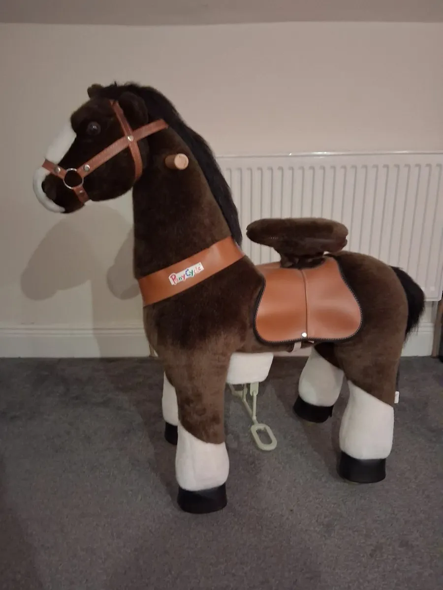 Pony cycle - Image 1