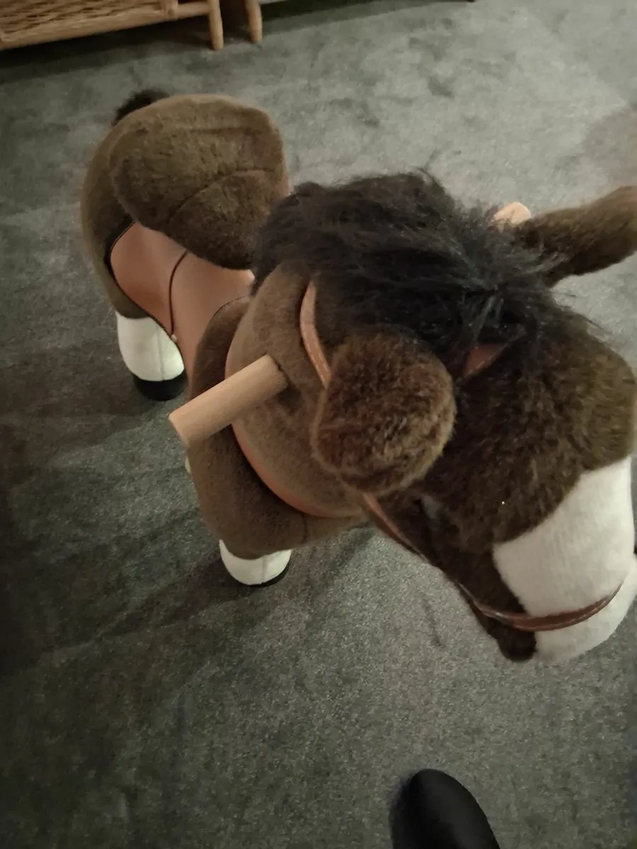 Pony cycle - Image 3