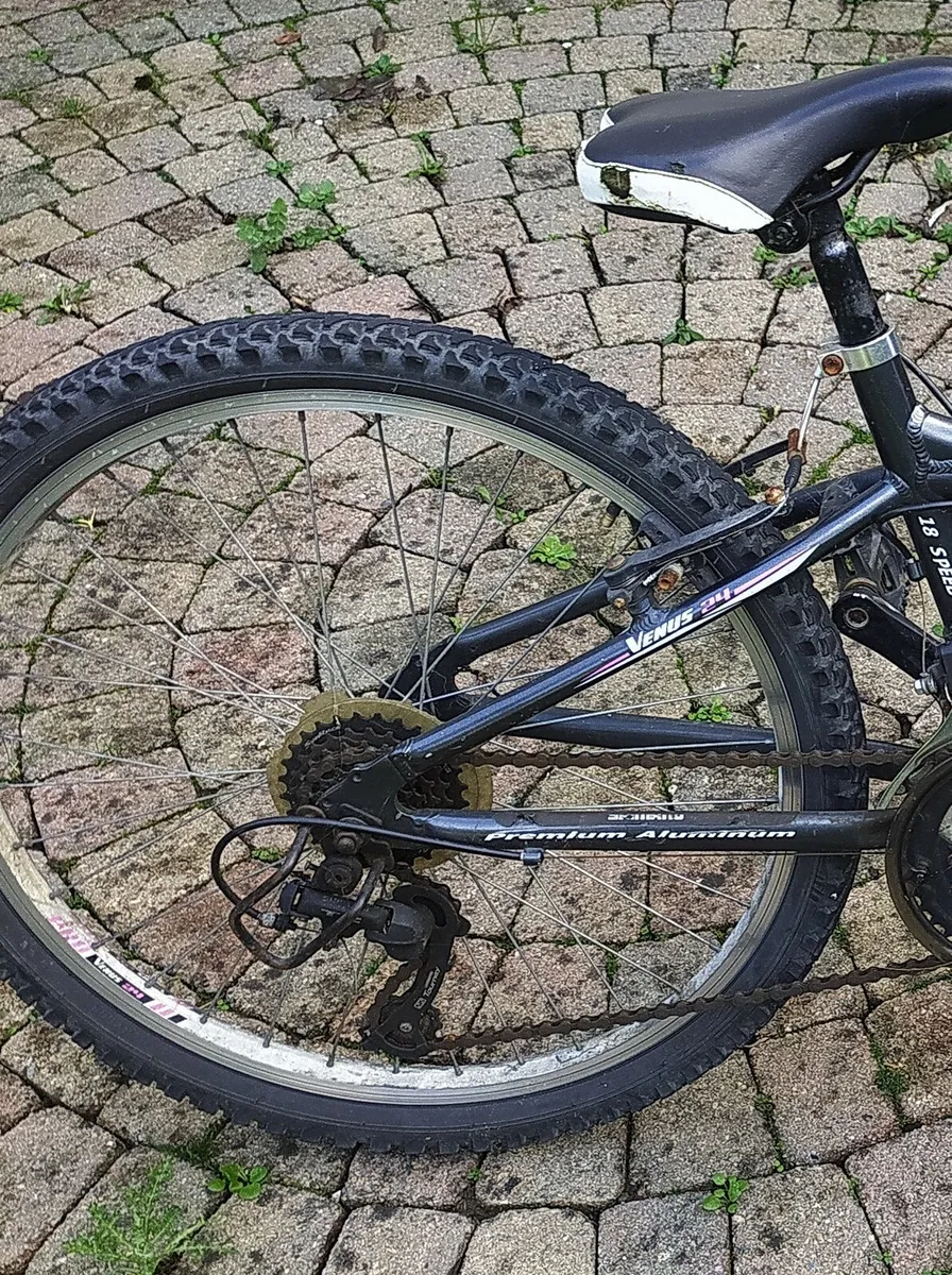 Geared  bicycle - Image 1