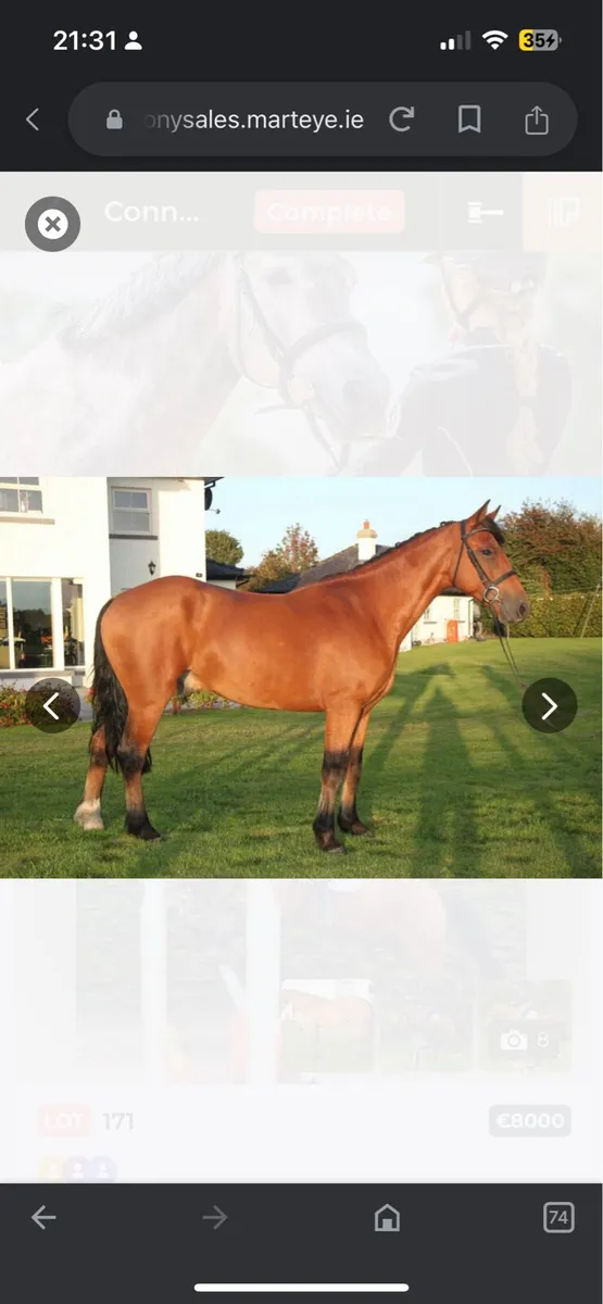 STUNNING PROJECT CONNIE - Image 2