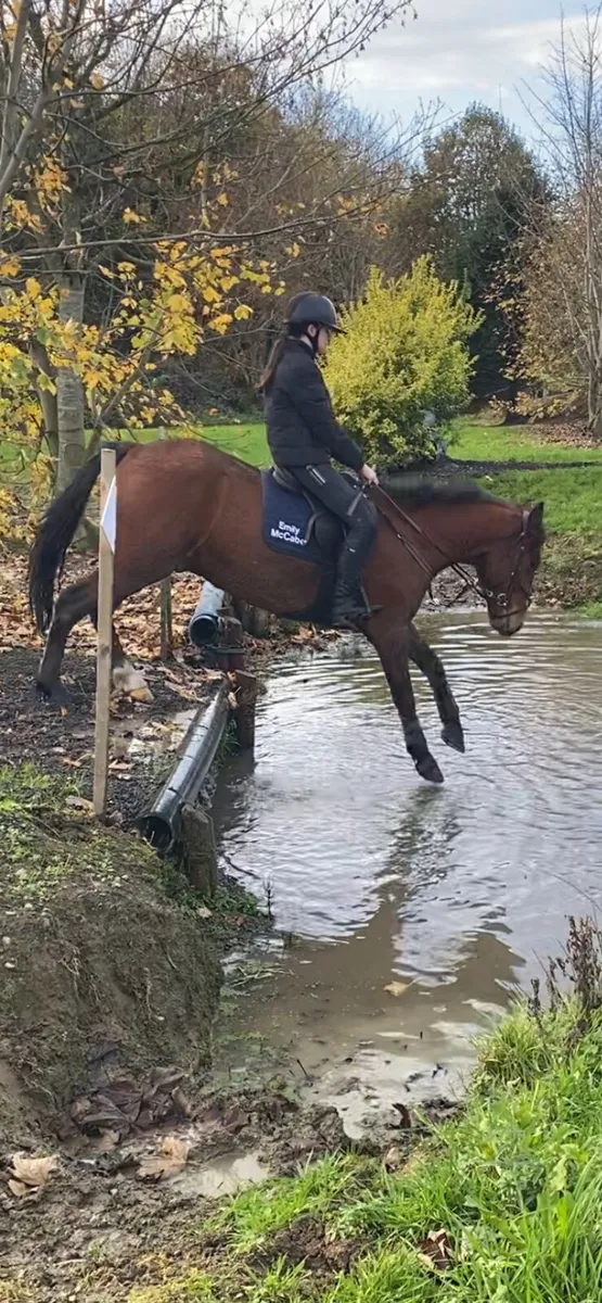 STUNNING PROJECT CONNIE - Image 3