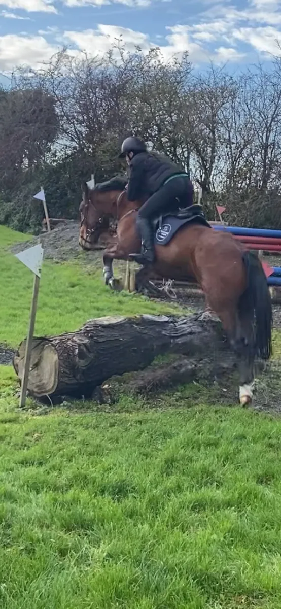 STUNNING PROJECT CONNIE - Image 4