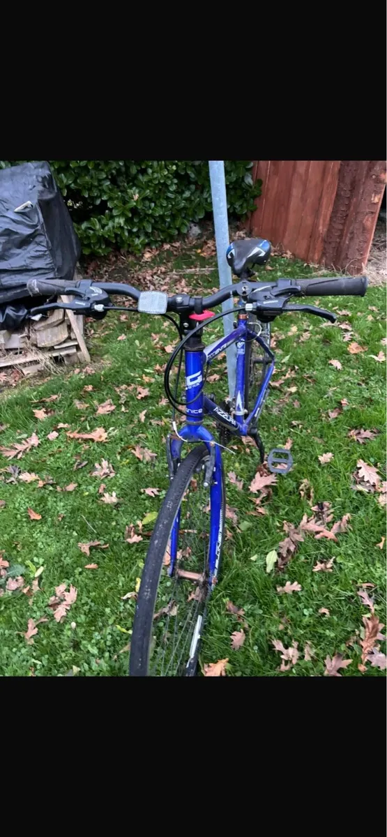 Bicycle: Blue Ignite 700 AZZURA - Image 1