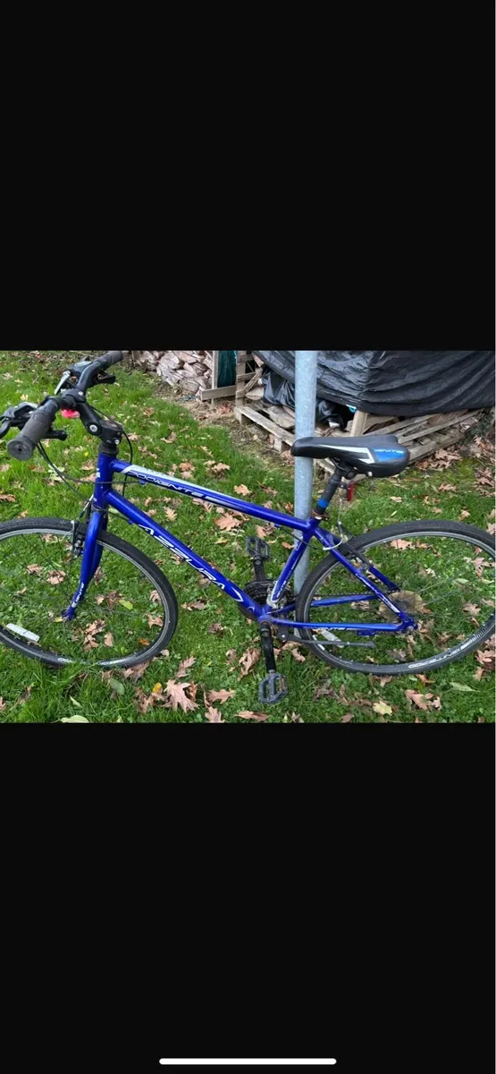 Bicycle: Blue Ignite 700 AZZURA - Image 2