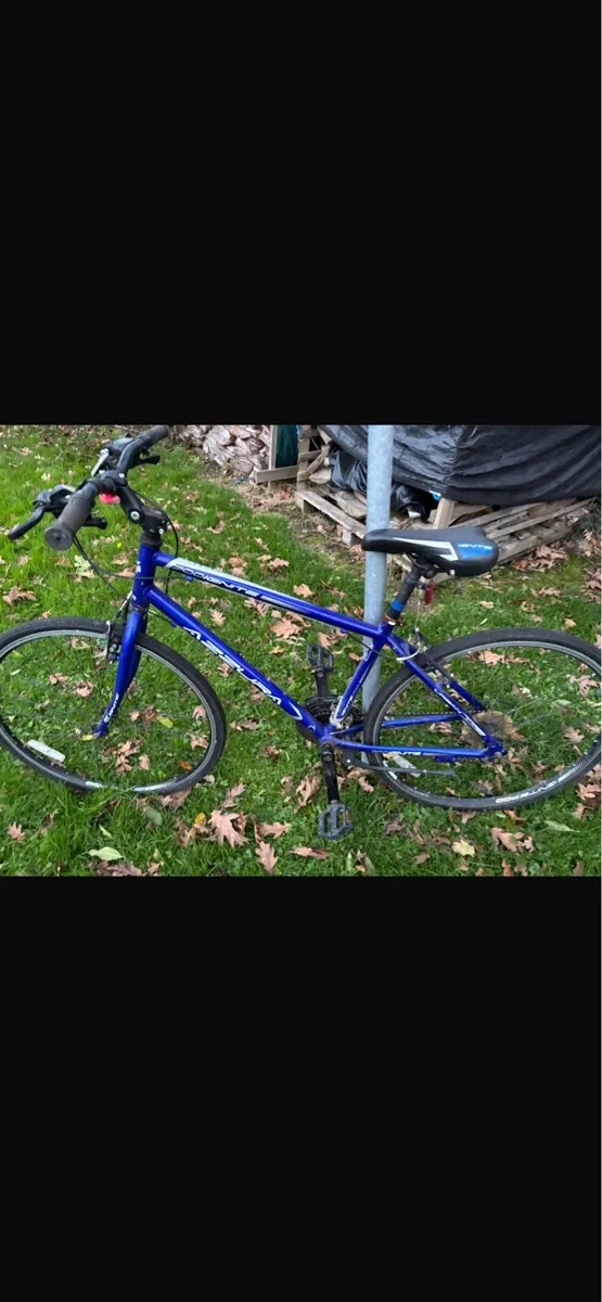 Bicycle: Blue Ignite 700 AZZURA - Image 3