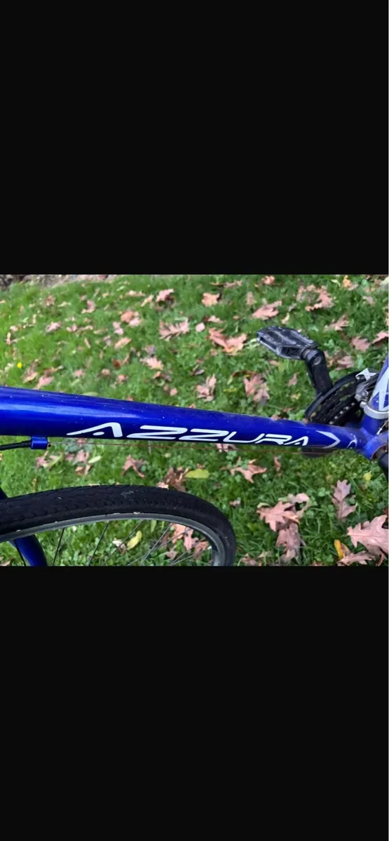 Bicycle: Blue Ignite 700 AZZURA - Image 4