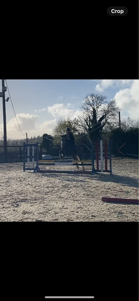 138 SMASHING PONY - Image 2