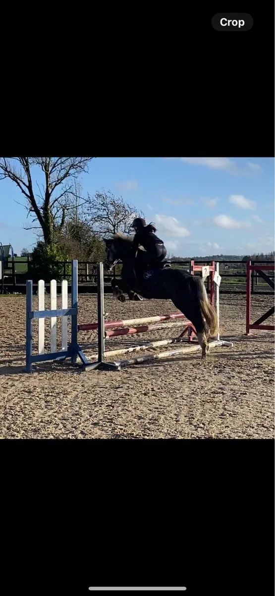 138 SMASHING PONY - Image 3