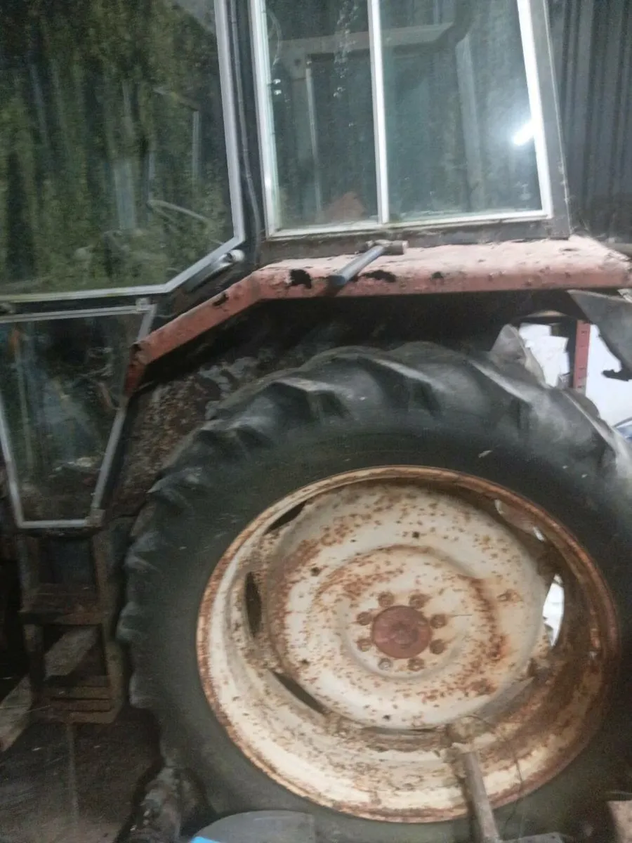 International 884 - Image 2