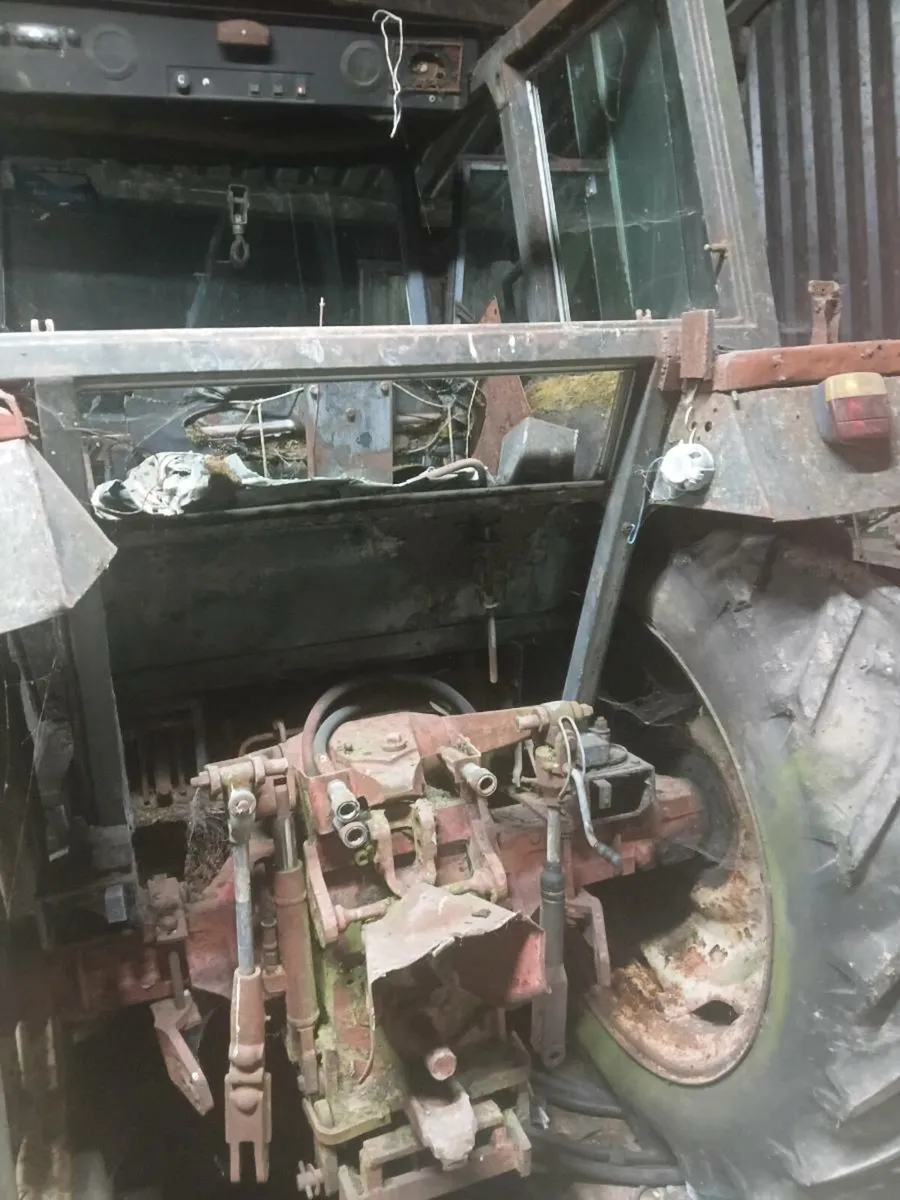 International 884 - Image 3