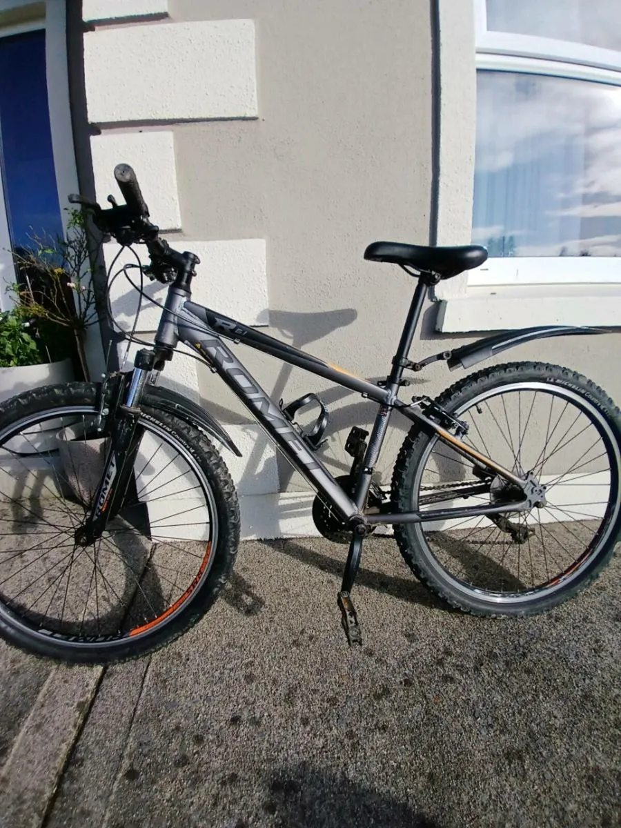Kids Romet Mountain Bike - Image 1